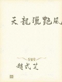 天龙猎艳风流