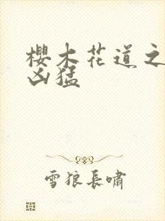 樱木花道之重生凶猛