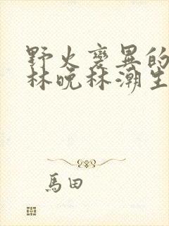 野火变异的父爱林晚林潮生