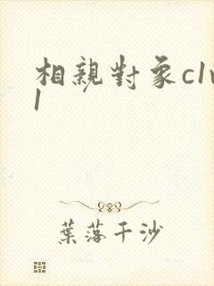 相亲对象c1v1