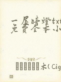 一屋暗灯txt免费全本小说电子书