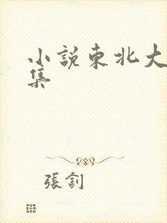 小说东北大炕全集