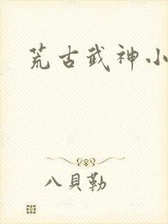 荒古武神小说