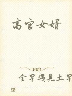 高官女婿