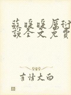 苏暖暖厉衍琛小说全文免费阅读