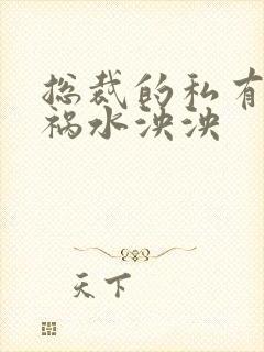 总裁的私有宝贝祸水泱泱