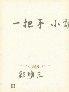 一把手 小说