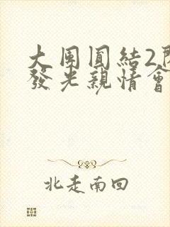 大团圆结2闪闪发光亲情会