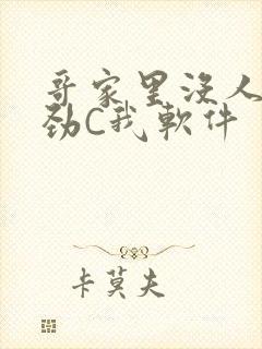 哥家里没人使点劲C我软件