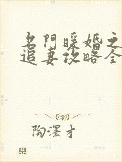 名门暖婚之权爷追妻攻略全文免费阅读