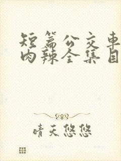 短篇公交车高h肉辣全集目录