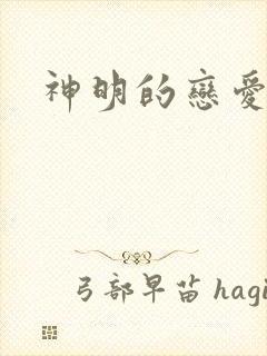 神明的恋爱游戏