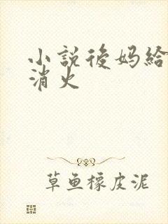 小说后妈给我消消火