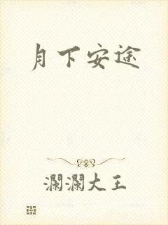 月下安途