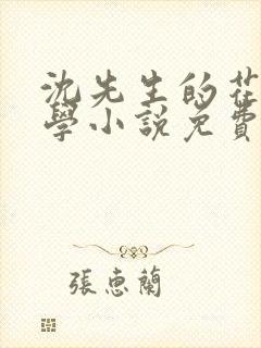 沈先生的花式教学小说免费