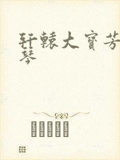 轩辕大宝芳菲雅琴