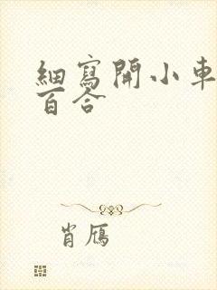 细写开小车车的百合