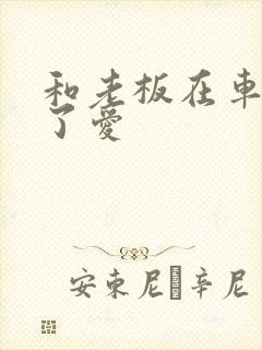 和老板在车里做了爱