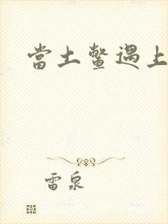 当土鳖遇上海龟