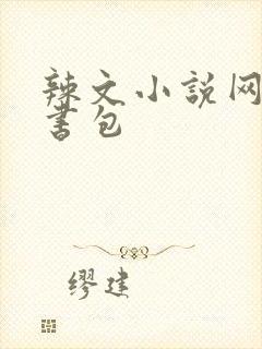 辣文小说网第二书包