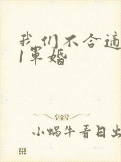 我们不合适1v1军婚