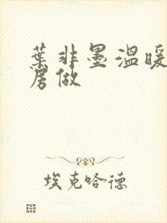 叶非墨温暖在厨房做