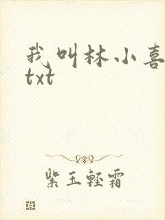 我叫林小喜小说txt