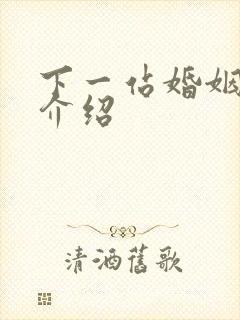 下一站婚姻剧情介绍