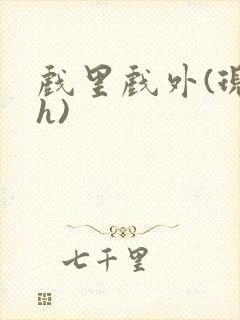 戏里戏外(现场h)