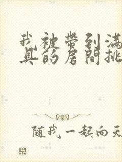 我被带到满是玩具的房间挑调作文