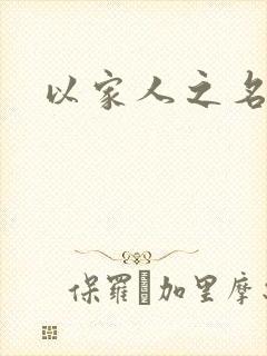以家人之名小说