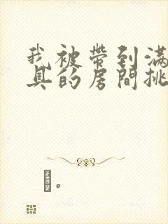 我被带到满是玩具的房间挑调游戏