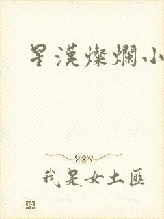 星汉灿烂小说