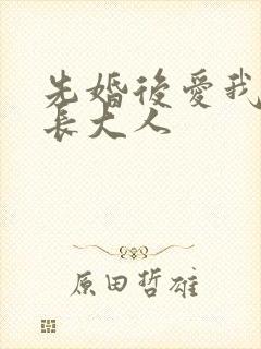 先婚后爱我的市长大人