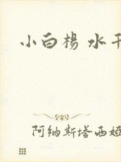 小白杨 水千丞