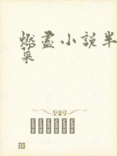 燃尽小说半截白菜