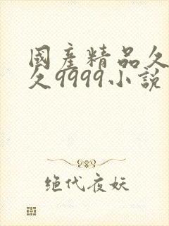 国产精品久久久久9999小说