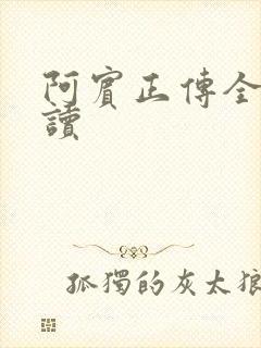 阿宾正传全文阅读