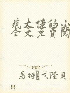 疯大佬的小玩物全文免费阅读小说