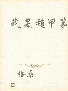 我是赵甲第小说