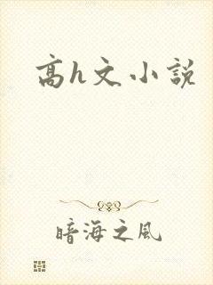 高h文小说