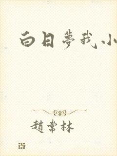 白日梦我小说