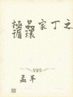 极品家丁之因果循环