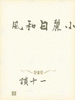 风和日丽小说