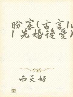 盼寡(古言1v1 先婚后爱)