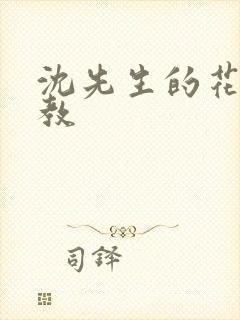 沈先生的花式管教