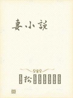 妻小说