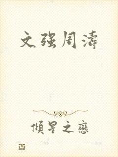 文强周涛