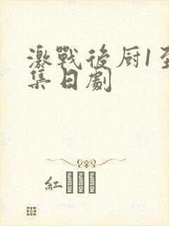 激战后厨1至5集日剧