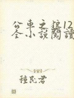 公车之狼12集全小说阅读